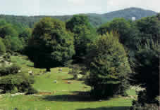 parchi e riserve naturali - parks and natural reserve